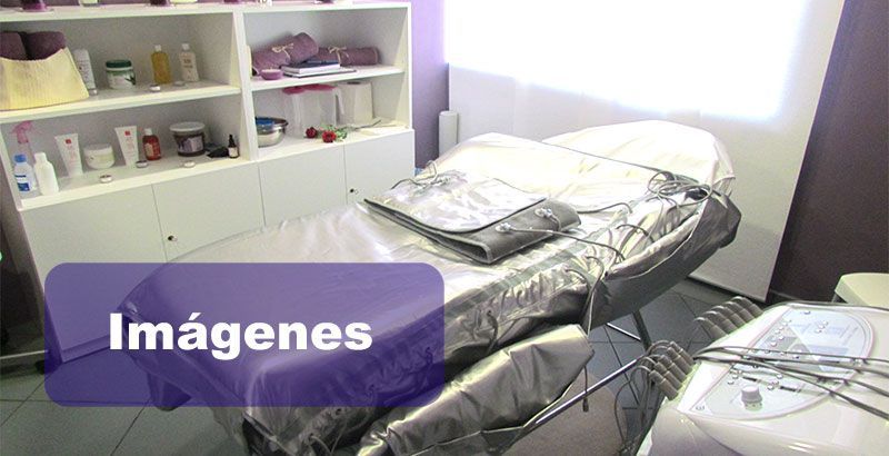 Imágenes de Caléndula
